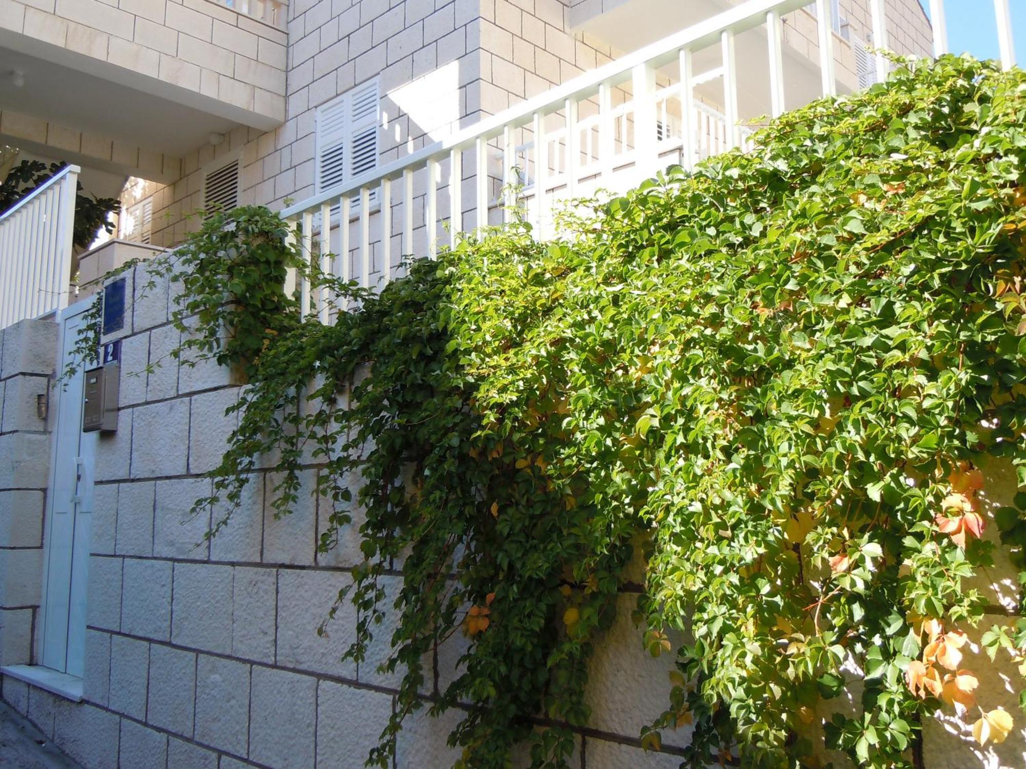 Central Apartment Dubrovnik Exterior foto